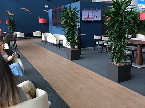 Pop Up Lounge, photo 6
