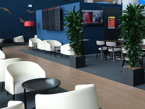 Pop Up Lounge, photo 2